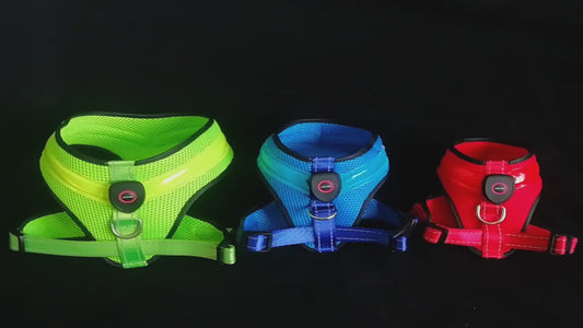 Pettorina Luminosa a LED con Cavo di Ricarica USB Adatta per Cani di Piccola e Grande Taglia